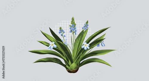 Isolated Scilla or bluebell flower bush with vibrant blue petals and long green leaves. A detailed botanical vector illustration representing spring and nature