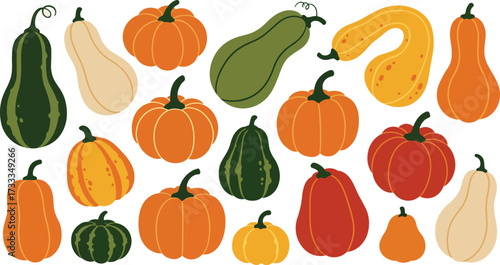 Wallpaper Mural Pumpkins and Gourds Collection - Assorted Squash Shapes in Autumn Colors, Fall Harvest Vegetables for Thanksgiving Halloween Decor Recipe and Market Poster, Modern Flat Vector Set on White Torontodigital.ca