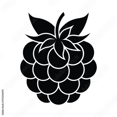 Raspberry Icon Vector Illustration