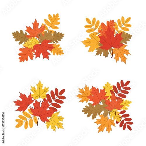Four clusters of colorful autumn leaves, including maple and oak, arranged on a white background.