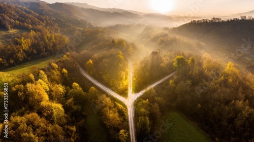direction. Forked country road through autumn forest during golden hour, symbolizing choices and journeys. representing seasonal cycles and harvest abundance.