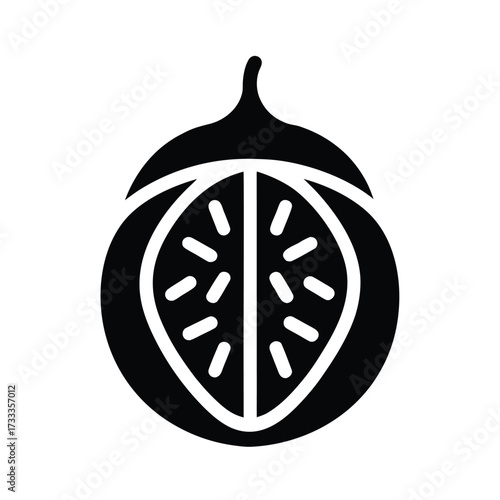 Walnut Icon Vector Illustration