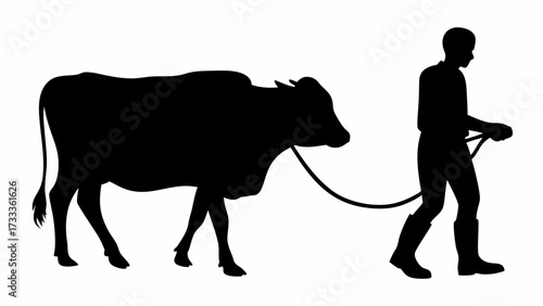 Silhouette of farmer leading a cow, agricultural scene, rural lifestyle, farming tradition, livestock