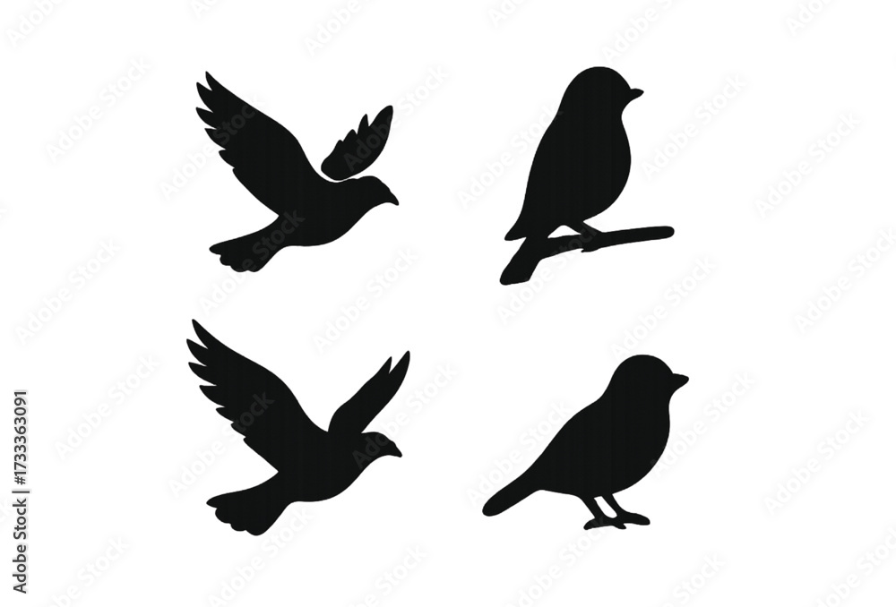 Fototapeta premium silhouettes of birds