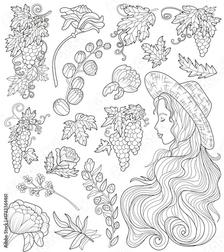 Monochrome design set with grape berries, leaves, flowers, floral elements and beautiful girl. Vector line art illustrations for clipart, stickers, coloring book isolated on white background. 