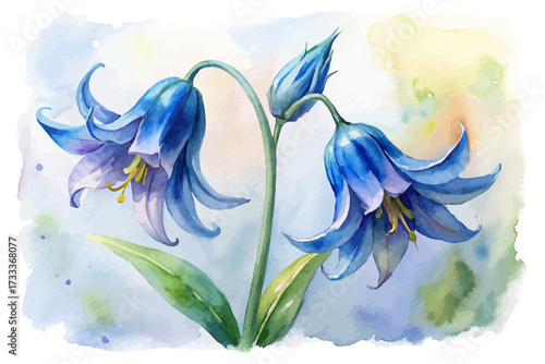 Watercolor Bluebell Flower Painting vector illustration
