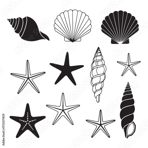 Set of different black sea shells and starfish silhouette vector illustration.
