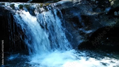 Wallpaper Mural Serene waterfall cascades over mossy rocks in a lush forest setting Torontodigital.ca