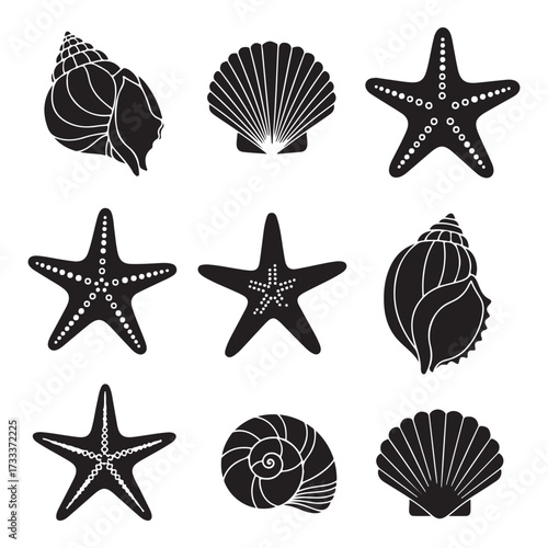Set of different black sea shells and starfish silhouette vector illustration.
