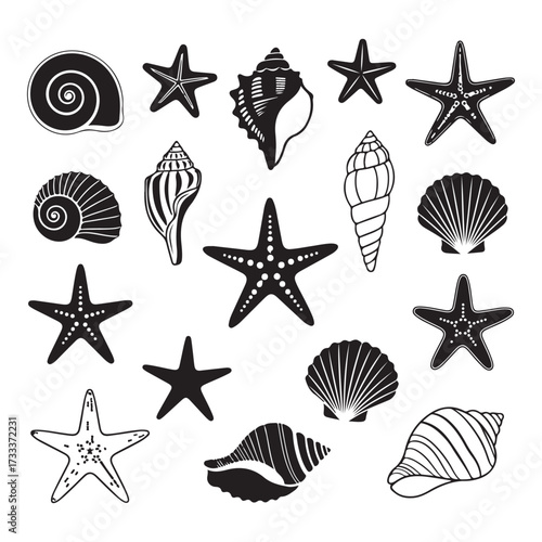 Set of different black sea shells and starfish silhouette vector illustration.
