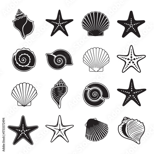 Set of different black sea shells and starfish silhouette vector illustration.
