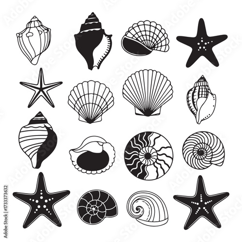 Set of different black sea shells and starfish silhouette vector illustration.
