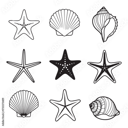 Set of different black sea shells and starfish silhouette vector illustration.

