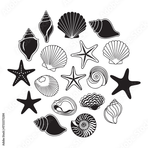 Set of different black sea shells and starfish silhouette vector illustration.
