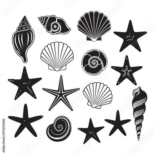 Set of different black sea shells and starfish silhouette vector illustration.
