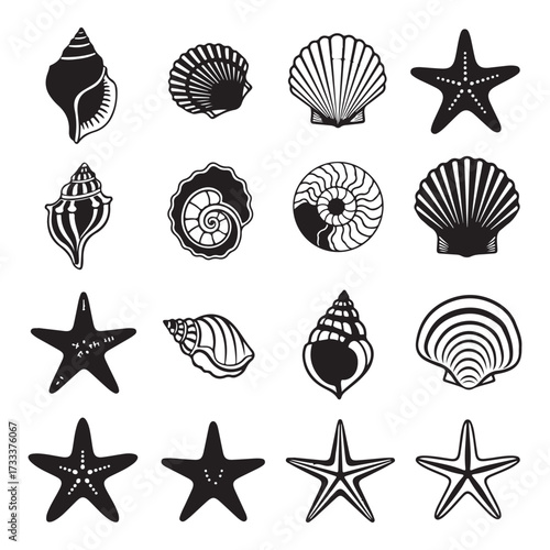 Set of different black sea shells and starfish silhouette vector illustration.
