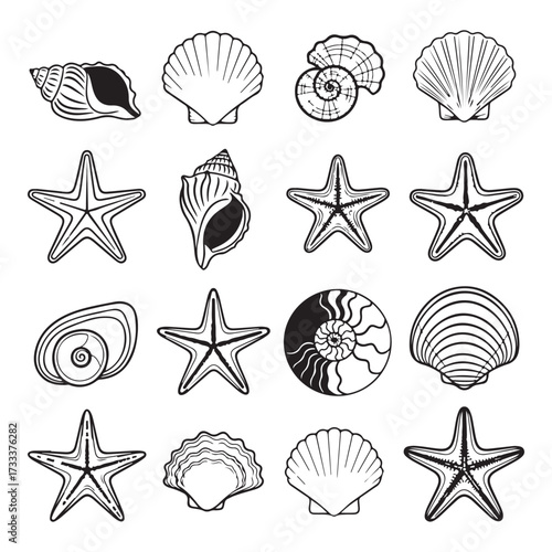 Set of different black sea shells and starfish silhouette vector illustration.

