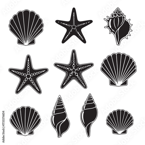 Set of different black sea shells and starfish  silhouette vector illustration