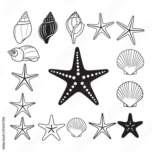 Set of different black sea shells and starfish  silhouette vector illustration