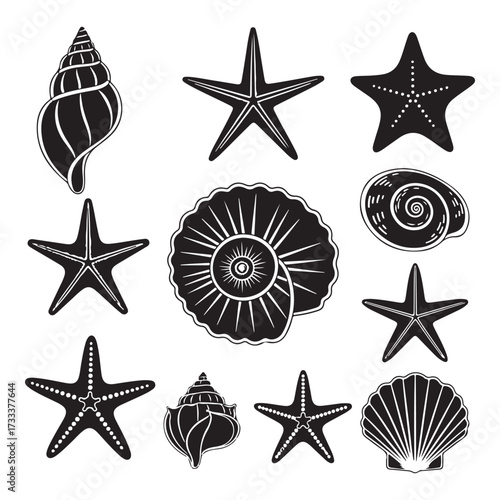 Set of different black sea shells and starfish  silhouette vector illustration