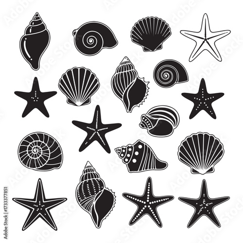 Set of different black sea shells and starfish  silhouette vector illustration