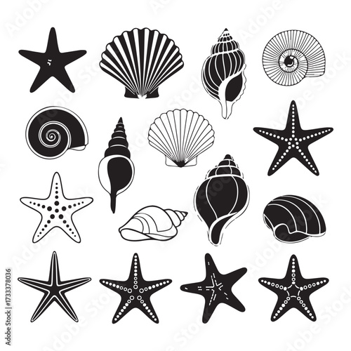 Set of different black sea shells and starfish  silhouette vector illustration