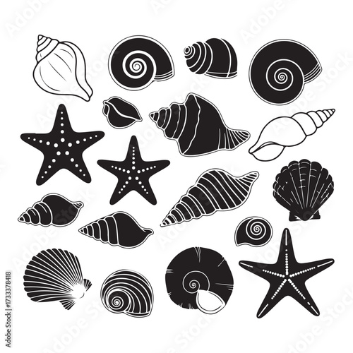 Set of different black sea shells and starfish  silhouette vector illustration