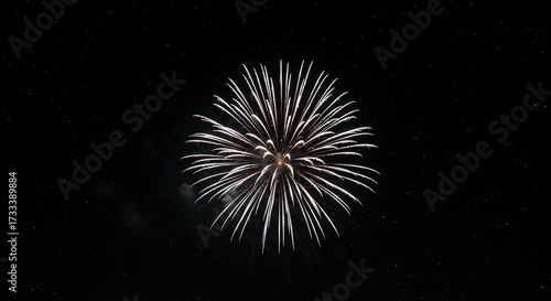 Single firework explosion against a black sky celebrating the event