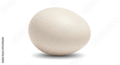 Single white egg isolated on a white background with shadow