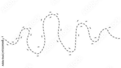 Ant trail. Walking group of black insects. Line of worker ants marching in search of food. Curve footpath of home pest isolated on transparent background. Vector