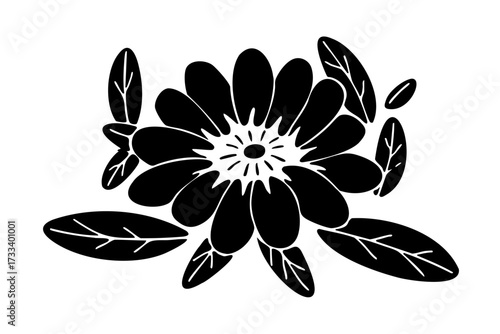 Black and white flower with green leaves. The flower is the main focus of the image. The leaves are scattered around the flower, giving it a natural and organic feel