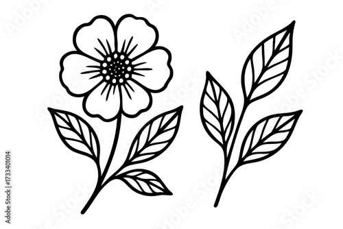 Two flower stems are drawn in black. The stems are thin and delicate, with leaves sprouting from them. The flowers are small and white, with a few petals visible