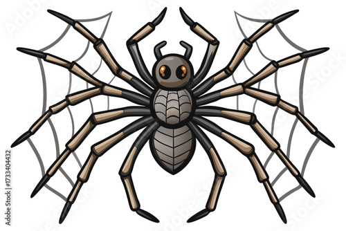 spider on a white background
