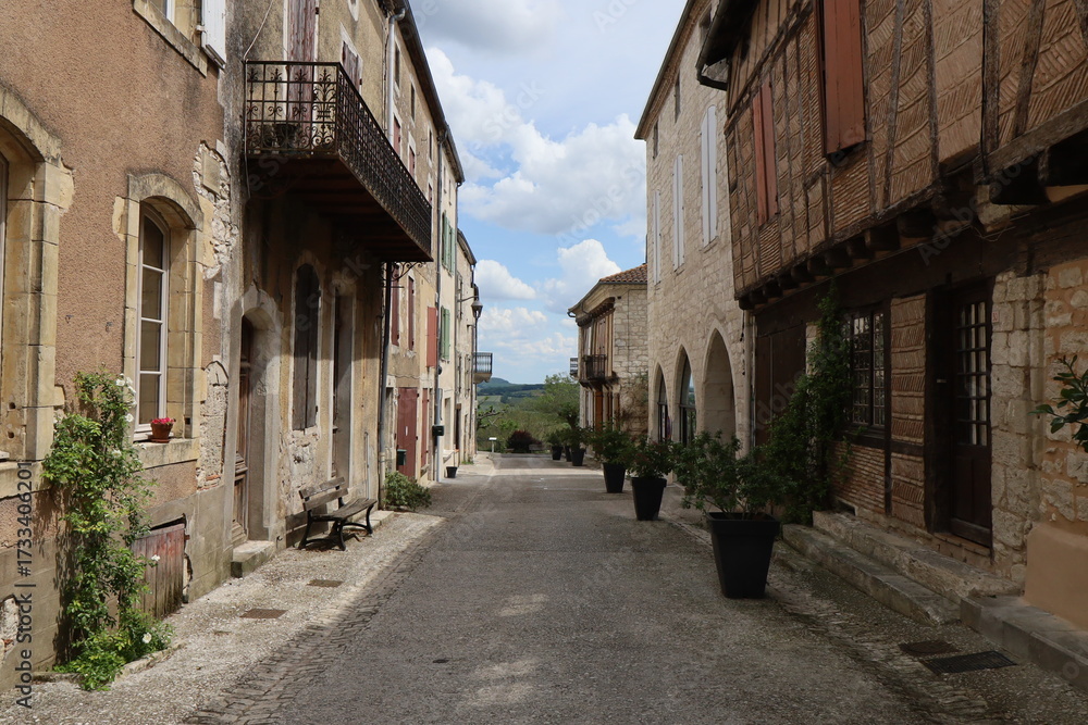 Fototapeta premium Rue bordée de maisons typiques dans le village, village de Monflanquin, département du Lot et Garonne, France