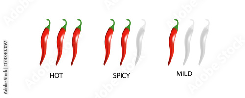 Spicy level labels. Spicy and hot chili spicy meter. Red spicy chili peppers. Vector