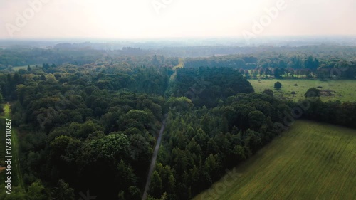 Forest, walking path between trees in Belgium, De Kempen, Gierle, Beerse