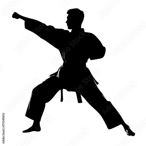 Karate fighter silhouette punching pose isolated on transparent background