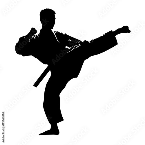 Karate fighter silhouette punching pose isolated on transparent background
