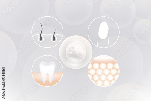 Hyaluronic acid hair, teeth, nails, skin solutions ad, white collagen serum drop with cosmetic advertising background ready to use, illustration vector.