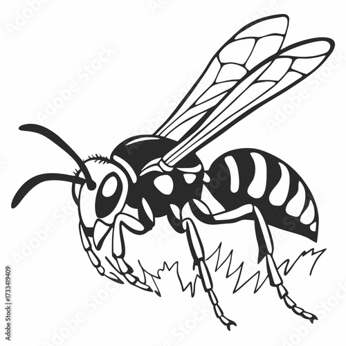 Black and white illustration of a detailed honeybee on grass  