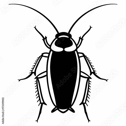 Black cockroach silhouette illustration with detailed features  