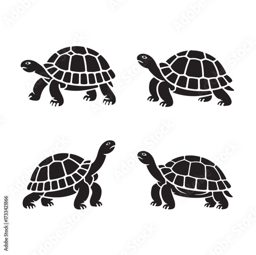 Four black silhouette icons of tortoises in different poses on white background turtle reptile