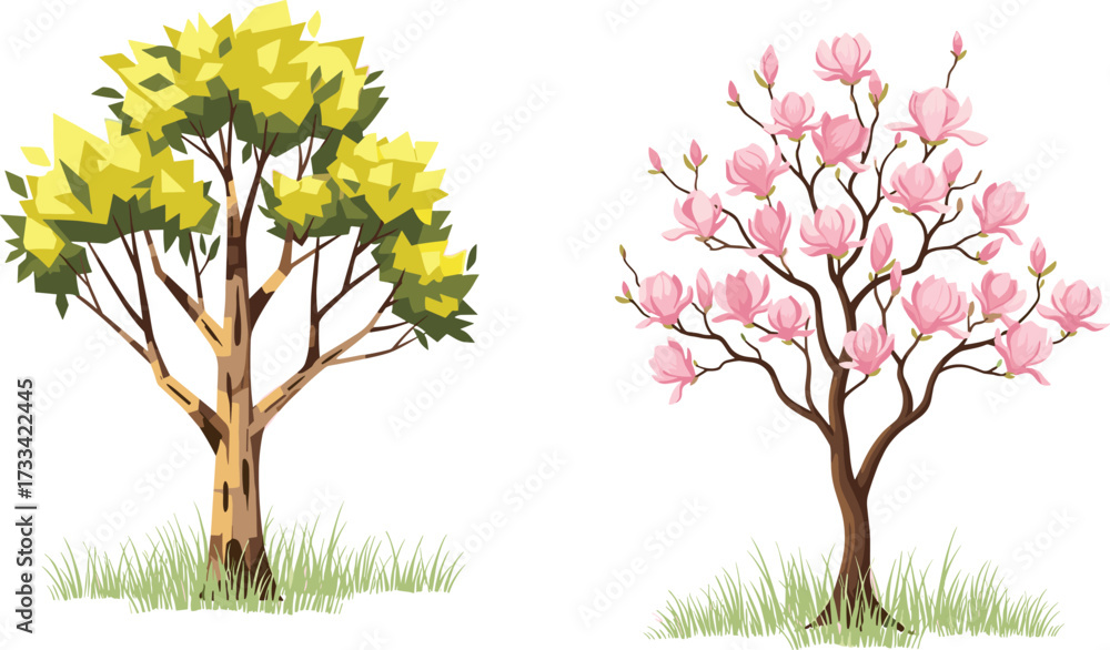 Obraz premium Tree illustration, seasonal foliage tree, flowering cherry blossom tree, botanical artwork, spring nature design,