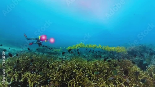 A professional scuba diver photographer swimming along a shallow coral reef while capturing beautiful underwater sea landscape