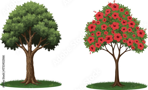 Beautiful illustration of lush green tree and vibrant flowering tree with red hibiscus blossoms in natural garden landscape, spring season outdoor scenery with foliage background