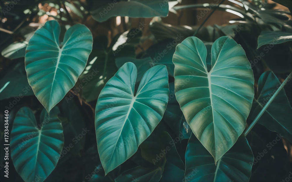 Fototapeta premium Lush Green Tropical Leaves in a Botanical Garden.