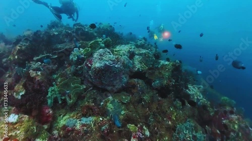 A scuba diver swimming along a shallow coral reef while sun rays beam through the water