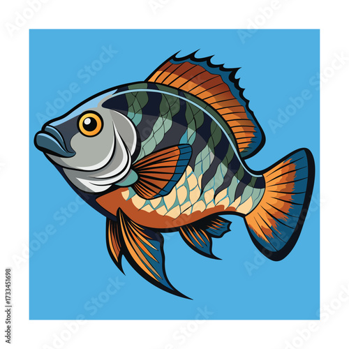 Orange and Blue Fish with Detailed Scales aquatic illustration