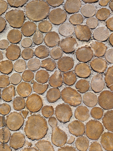 Wood Log Slices Wall Texture, Rustic Eco Background. Close-up of a decorative wall made of natural wooden log slices embedded in concrete. Rustic organic background texture with tree rings, cracks and