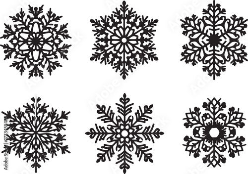 Snowflake Symphony: An intricate collection of six unique snowflakes, capturing the delicate beauty and geometric precision of winter's icy artistry. 